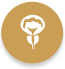 Bladder - Shire Urology